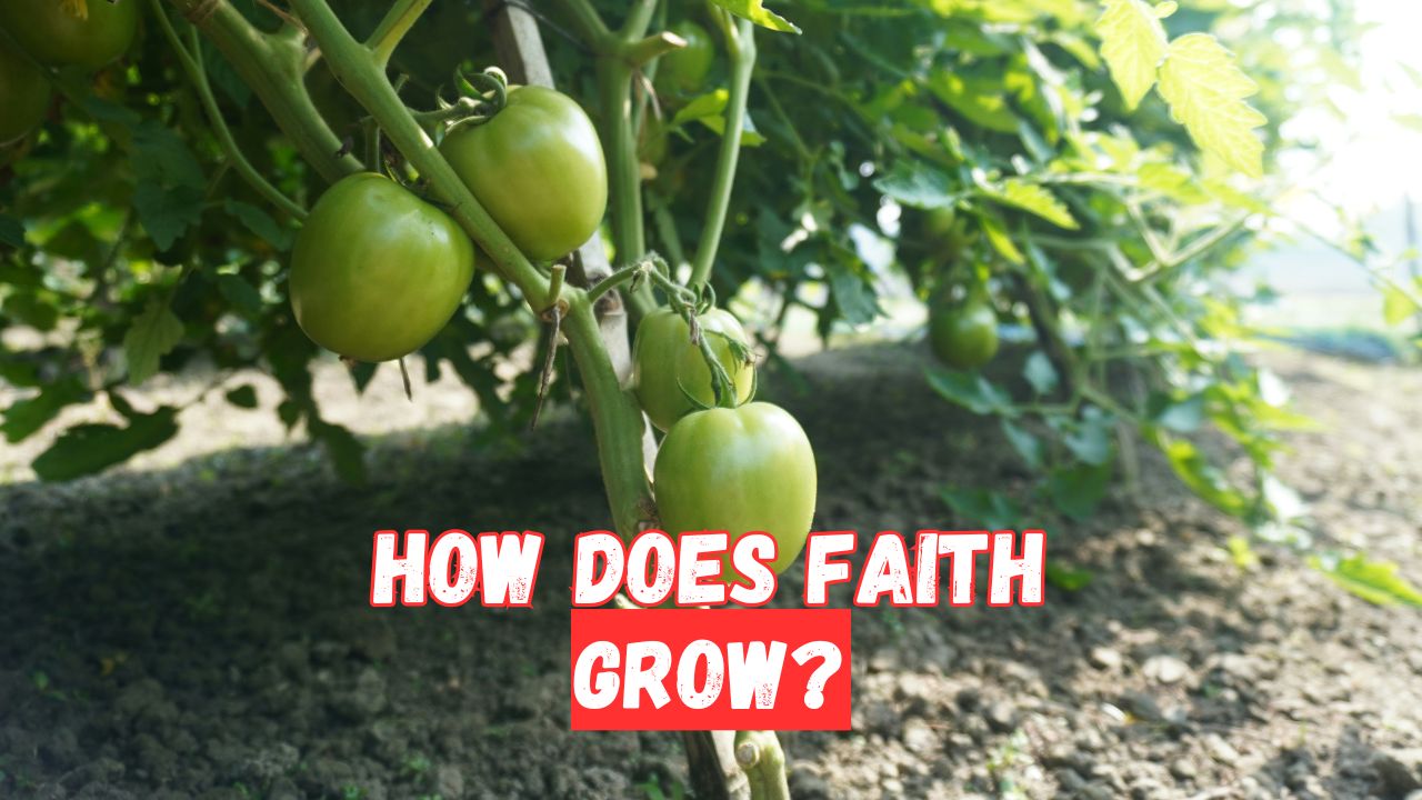 how does faith grow