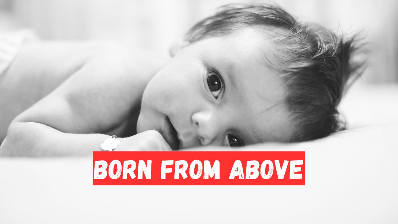 Born from Above